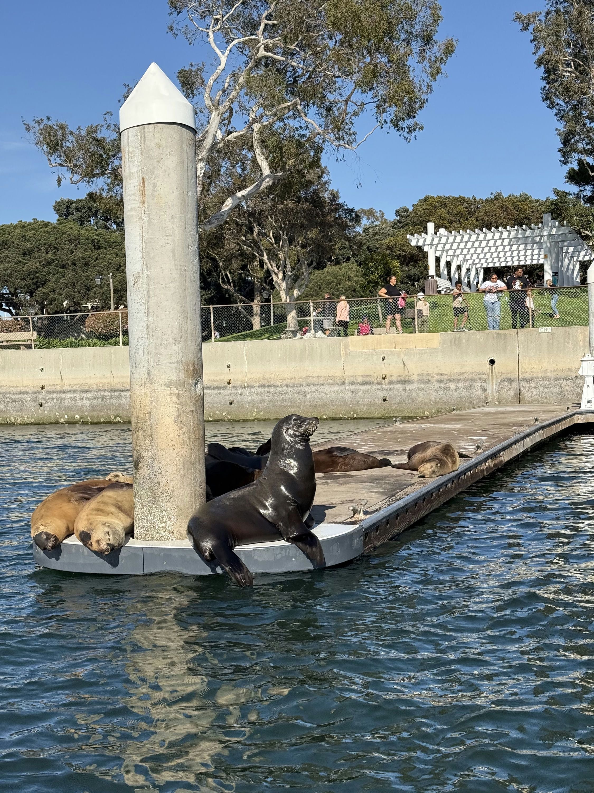 Luxury Cruise with Wine, Charcuterie & Sea Lions Spotting - Image 7