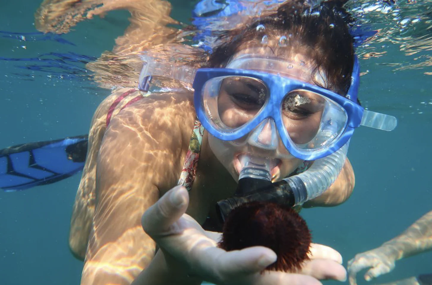 Makena South Maui Snorkeling Tour - Image 2