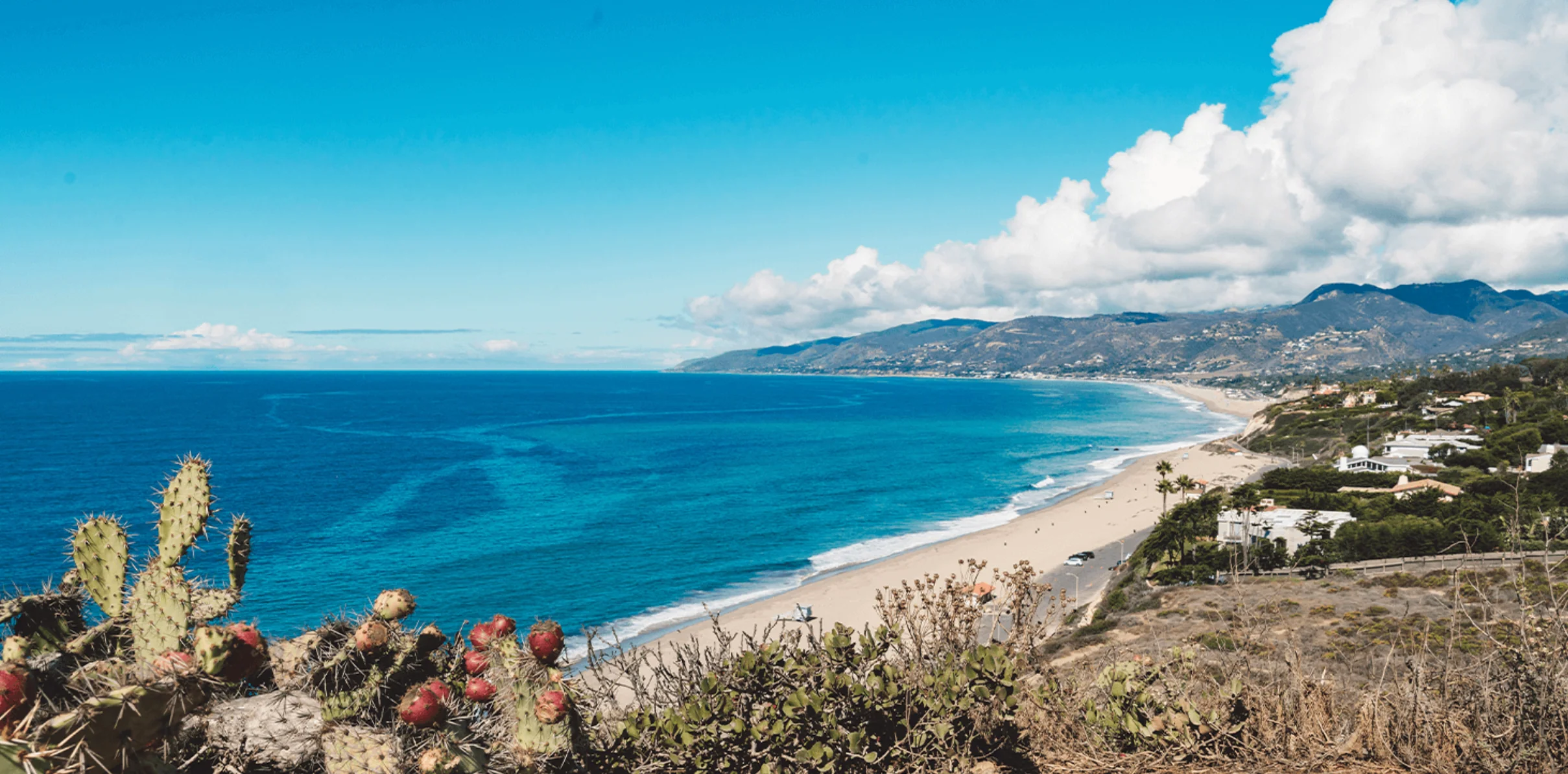 Malibu Family Mystery Picnic - Image 2