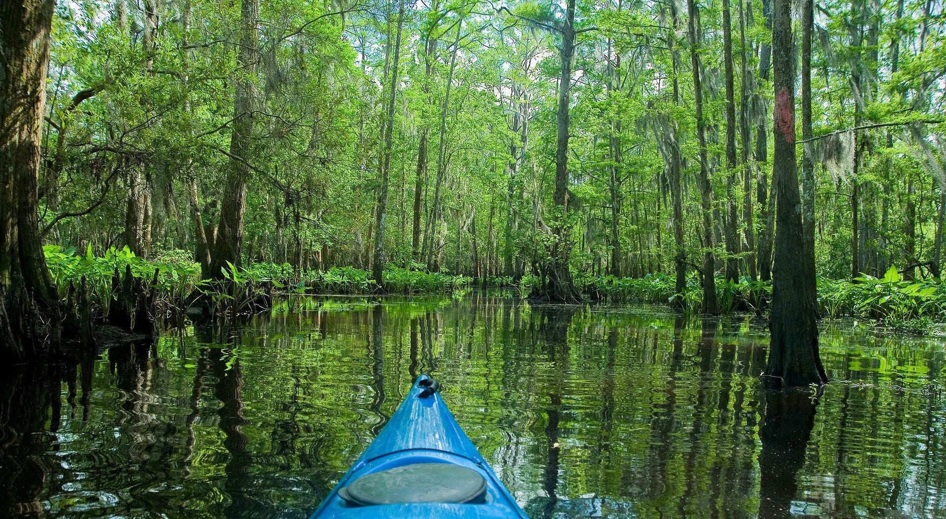 Manchac Magic Kayak Swap Tour - Image 3