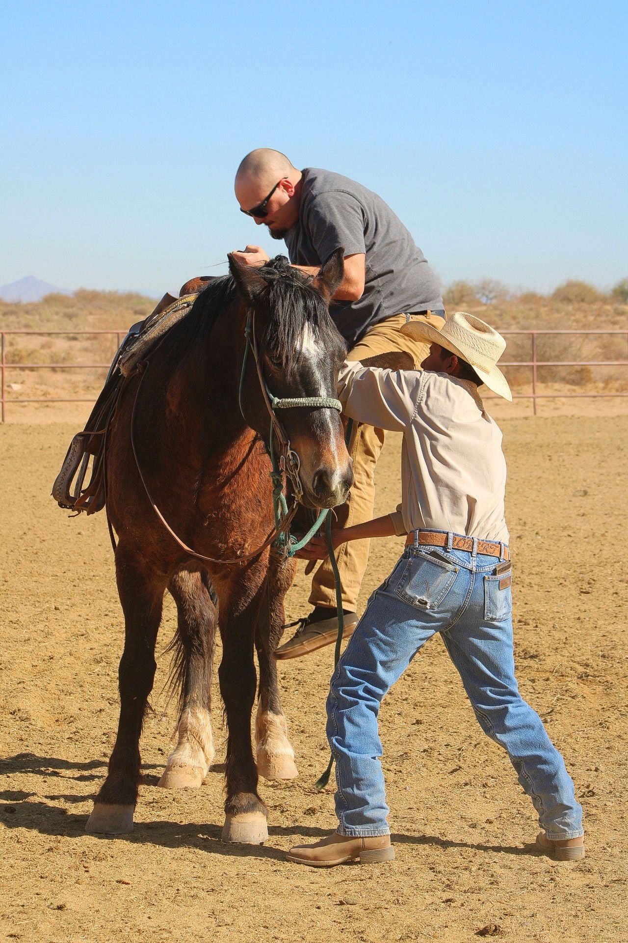 Margarita Sunset Horseback Ride - Image 4