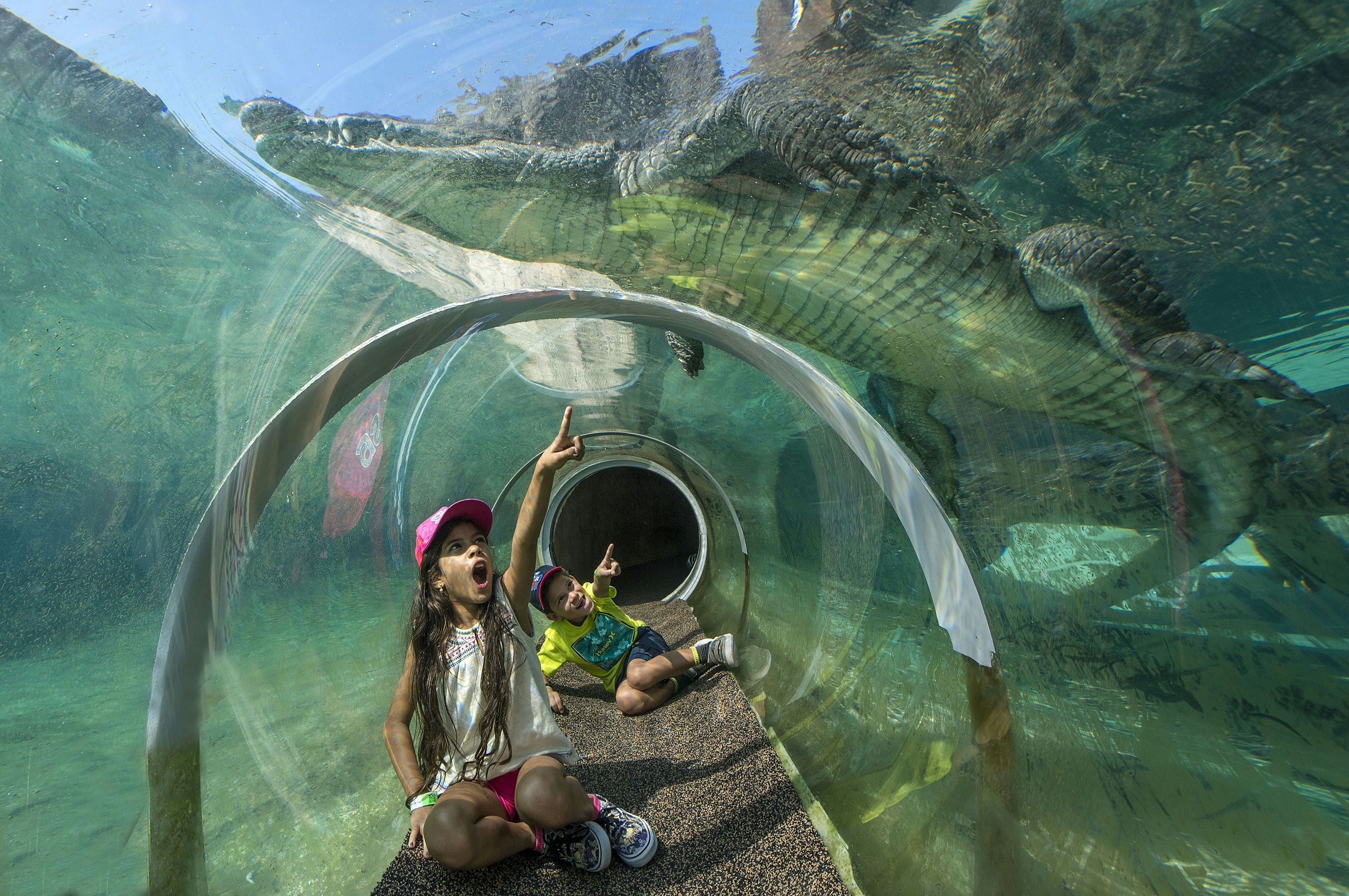 Go City Miami Explorer Pass - 2 Attractions - Image 3