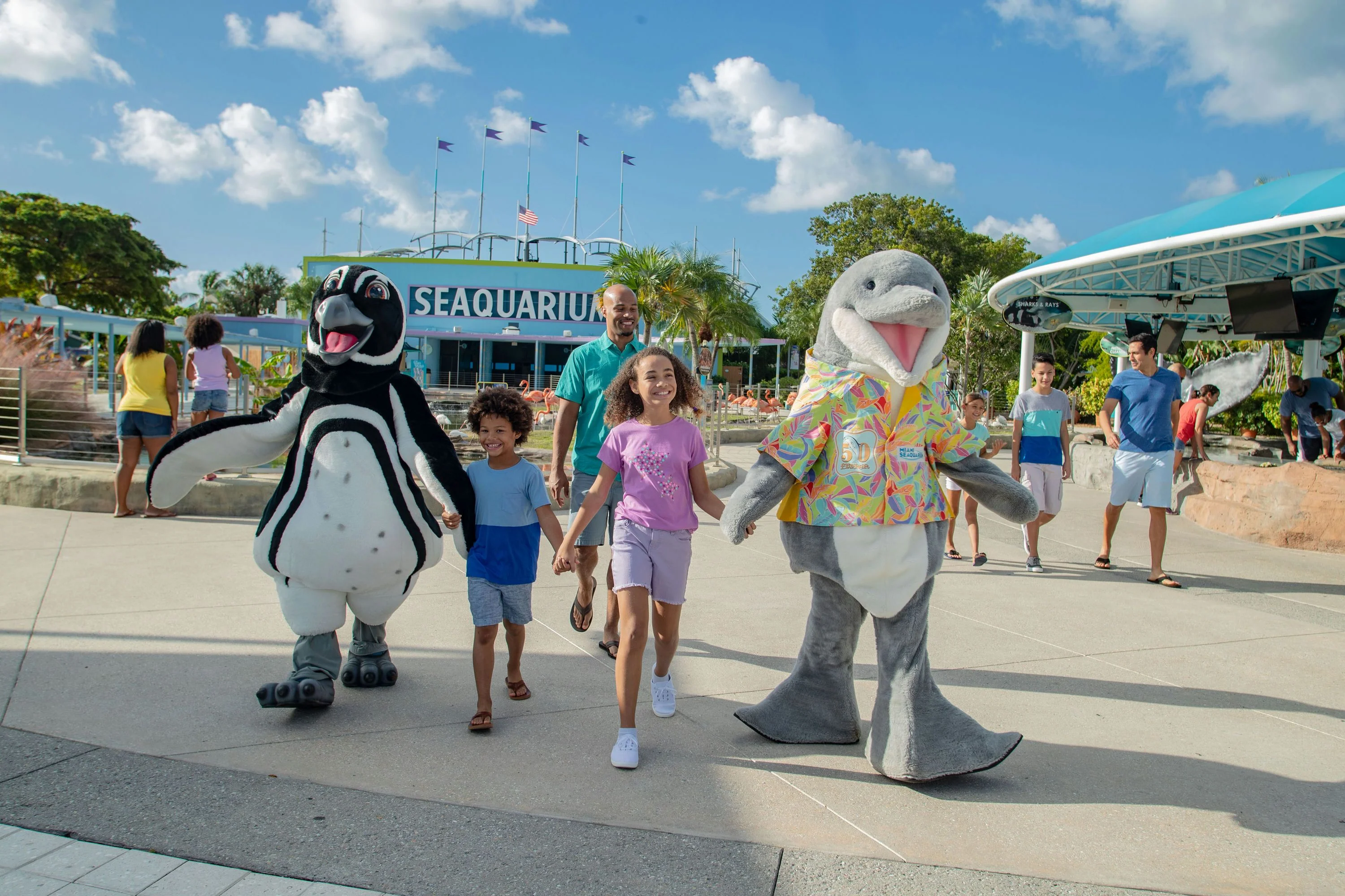 Go City Miami Explorer Pass - 2 Attractions - Image 6