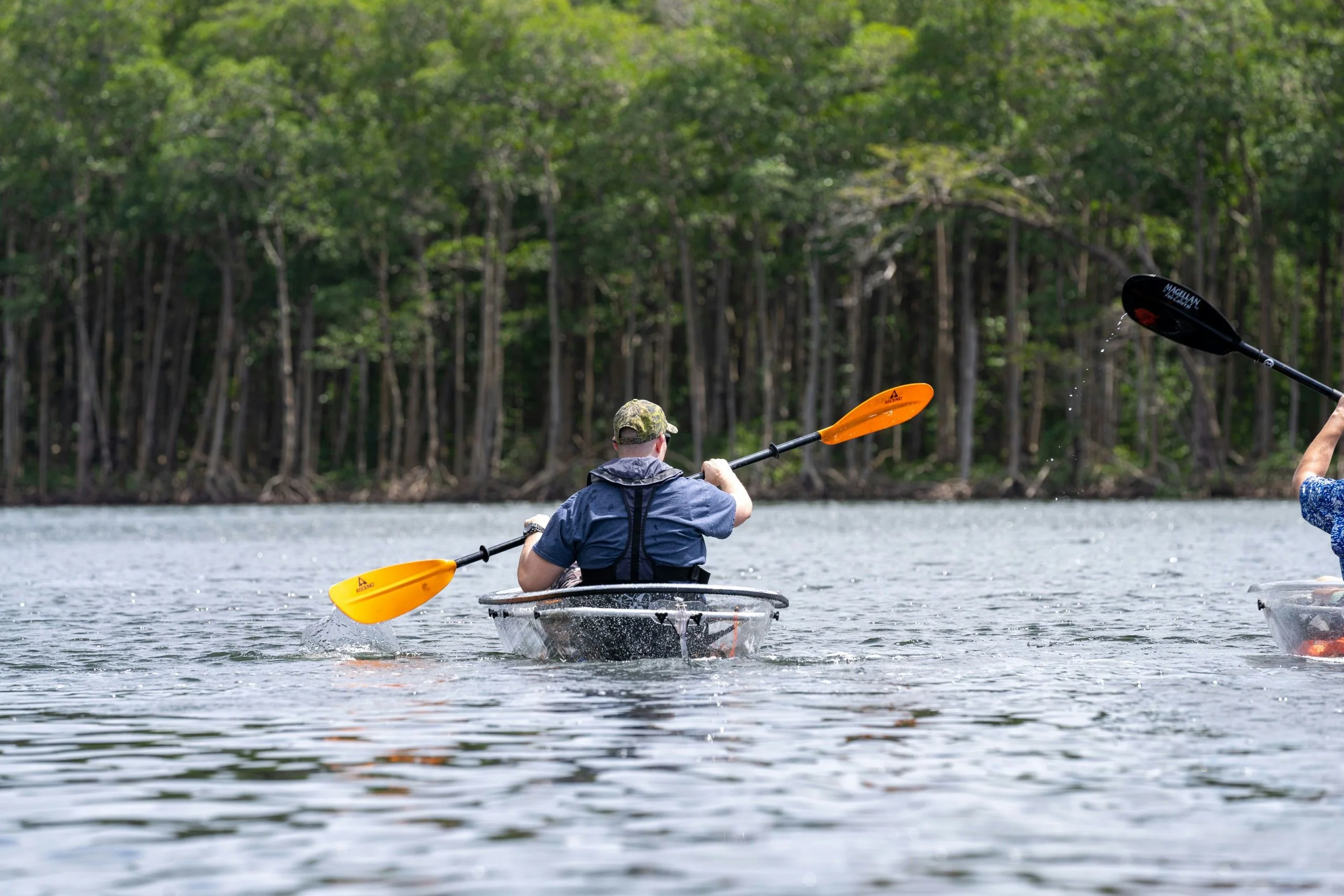 Miami Mangroves Clear Kayak Tour
