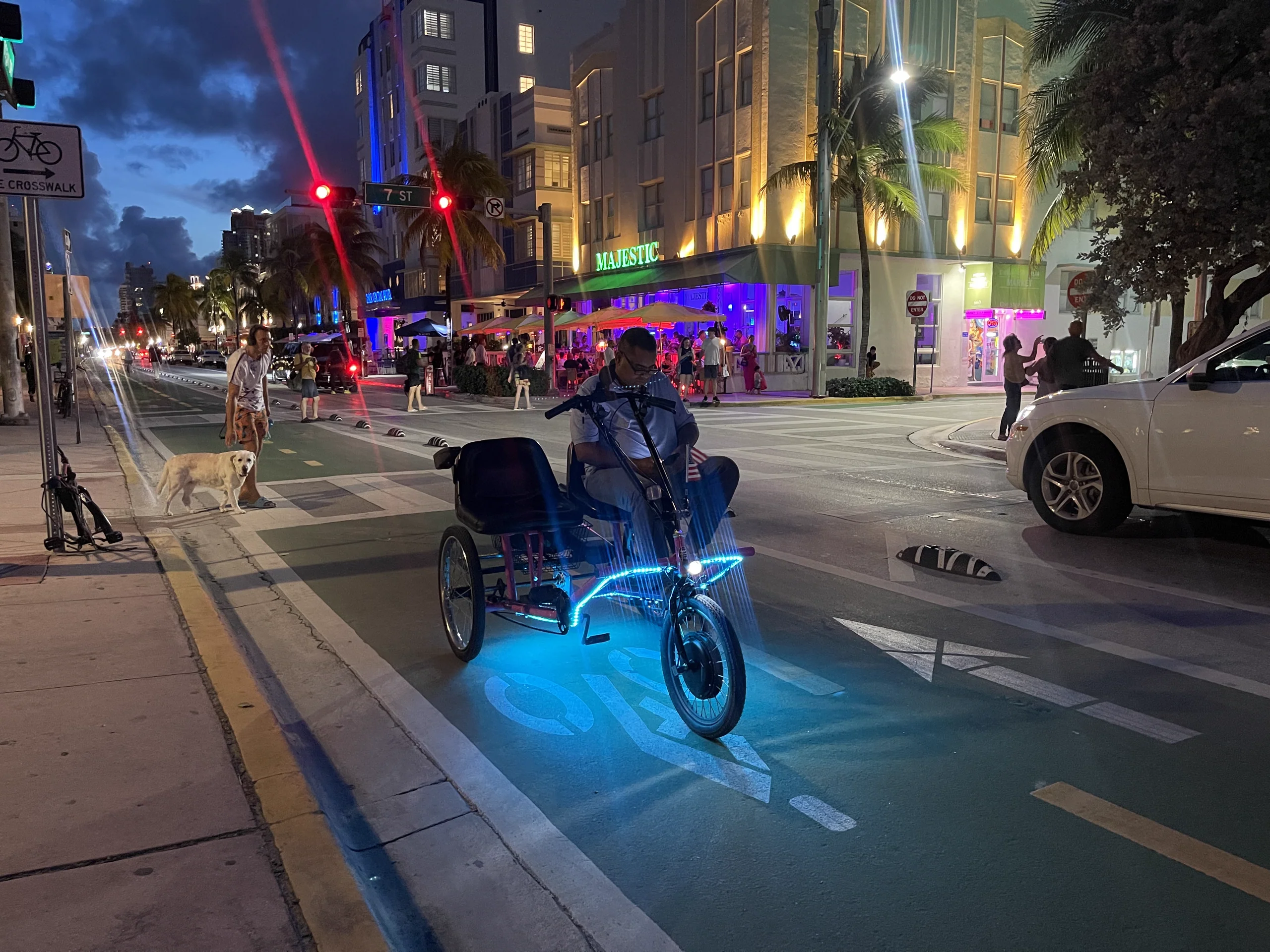 Miami Private Chariot Tour at Night For 2 - Image 3