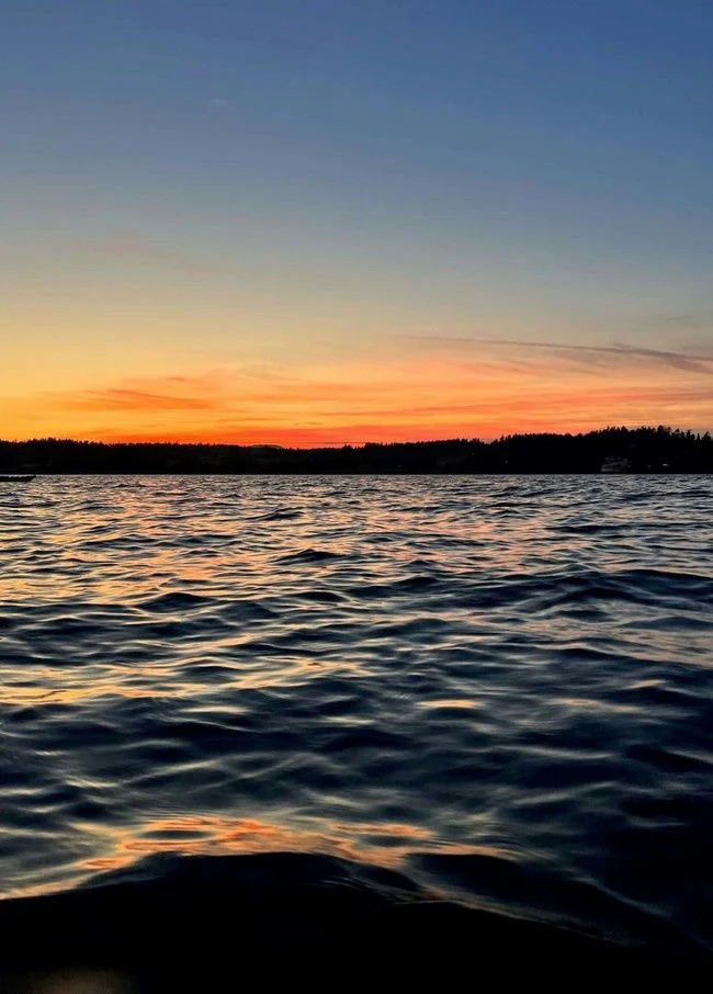 Morning Kayak Tour - Image 4