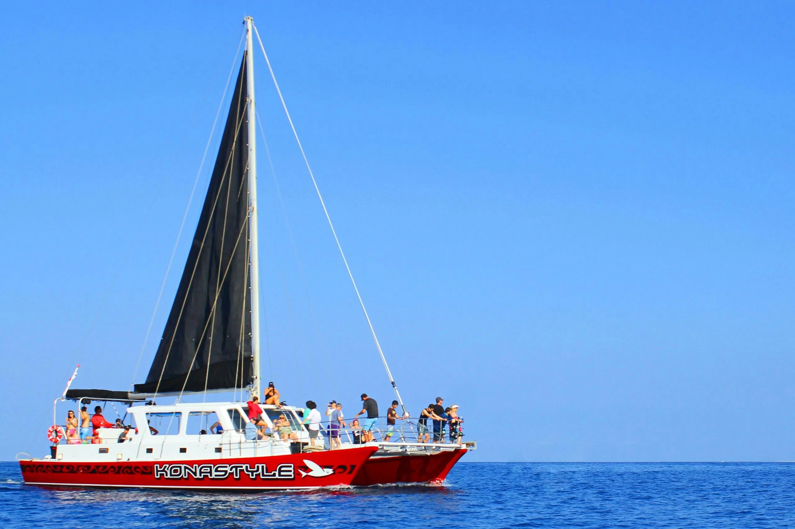 Morning Kealakekua Snorkel & Sail - Image 3