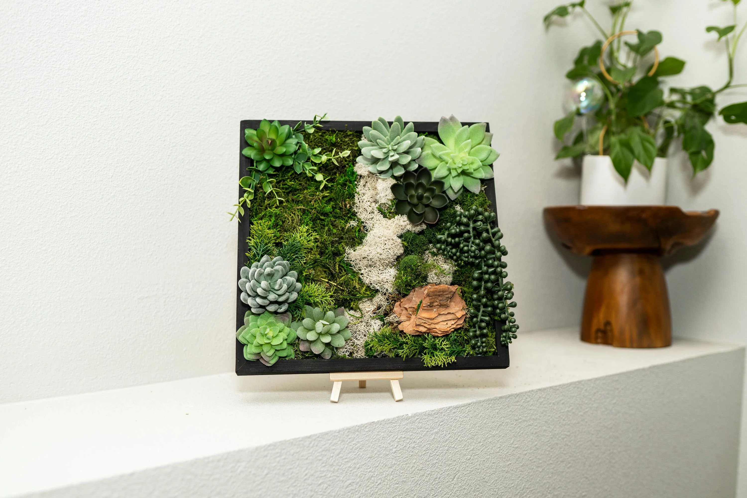 Moss Wall Art Kit