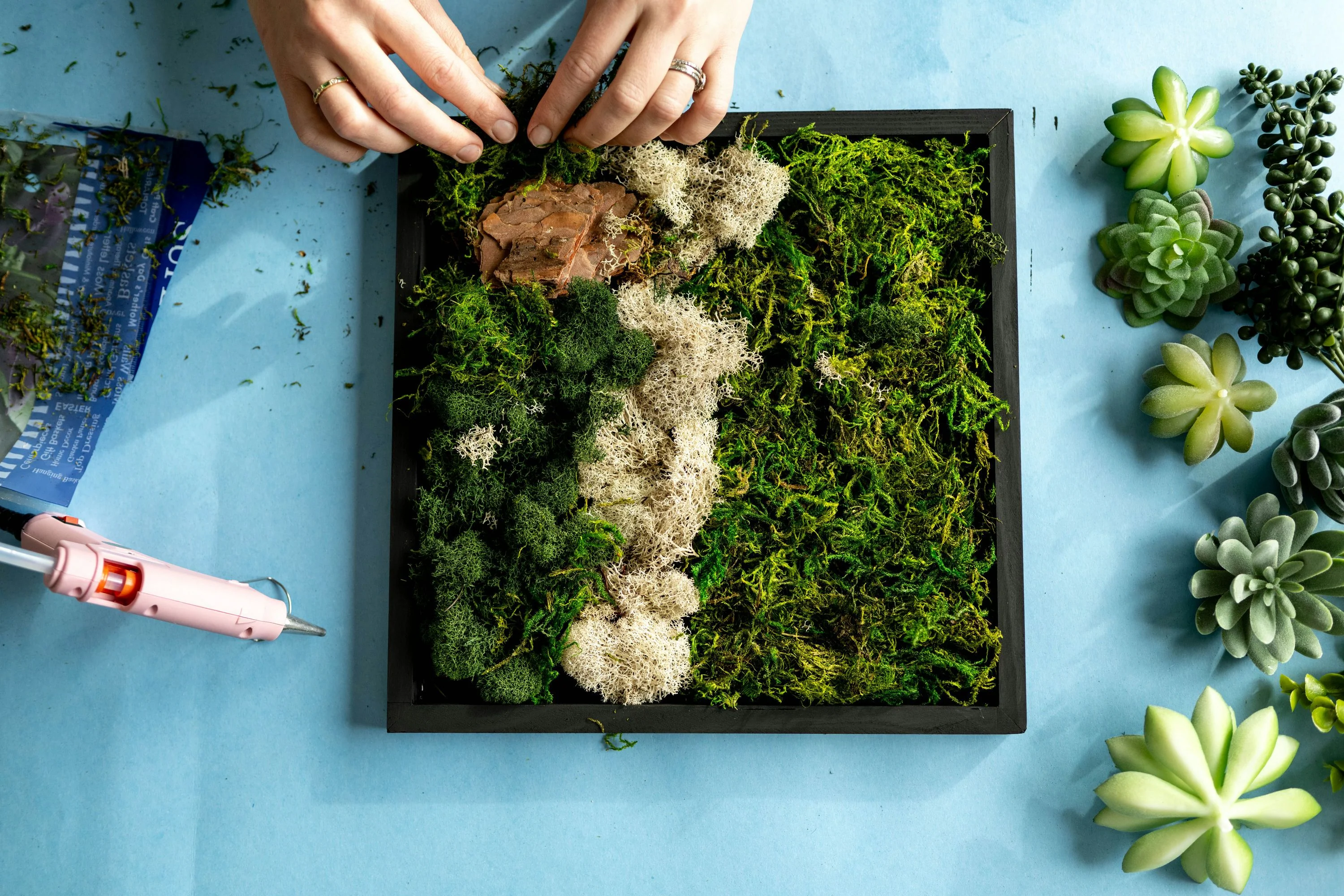 Moss Wall Art Kit - Image 3