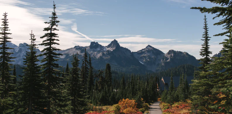 Mt. Rainer & Yakima Valley Wine Tour from Seattle - Image 3