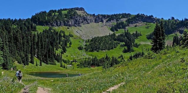 Mt. Rainer & Yakima Valley Wine Tour from Seattle - Image 4