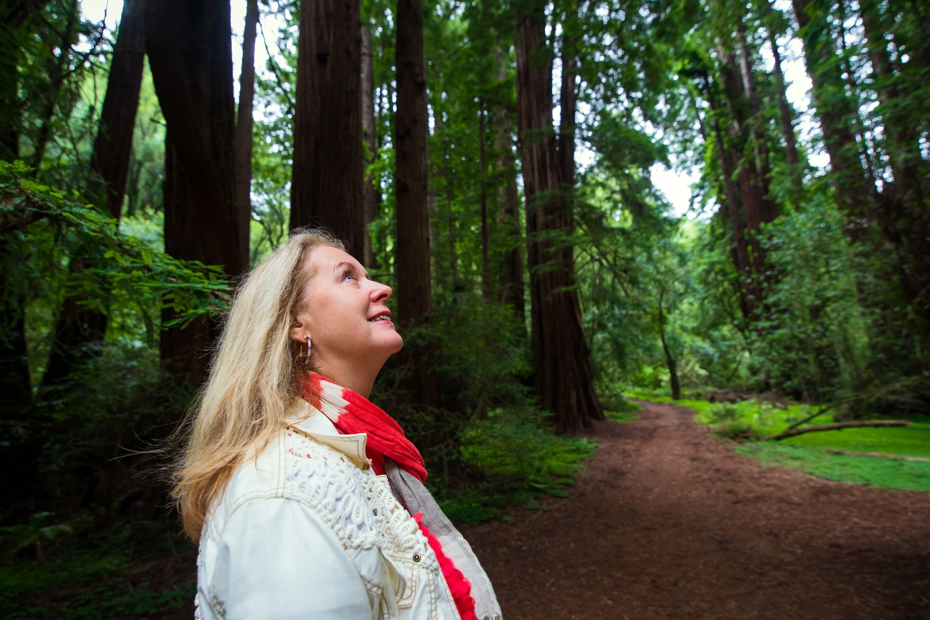 Muir Woods Tour From San Francisco - Image 4