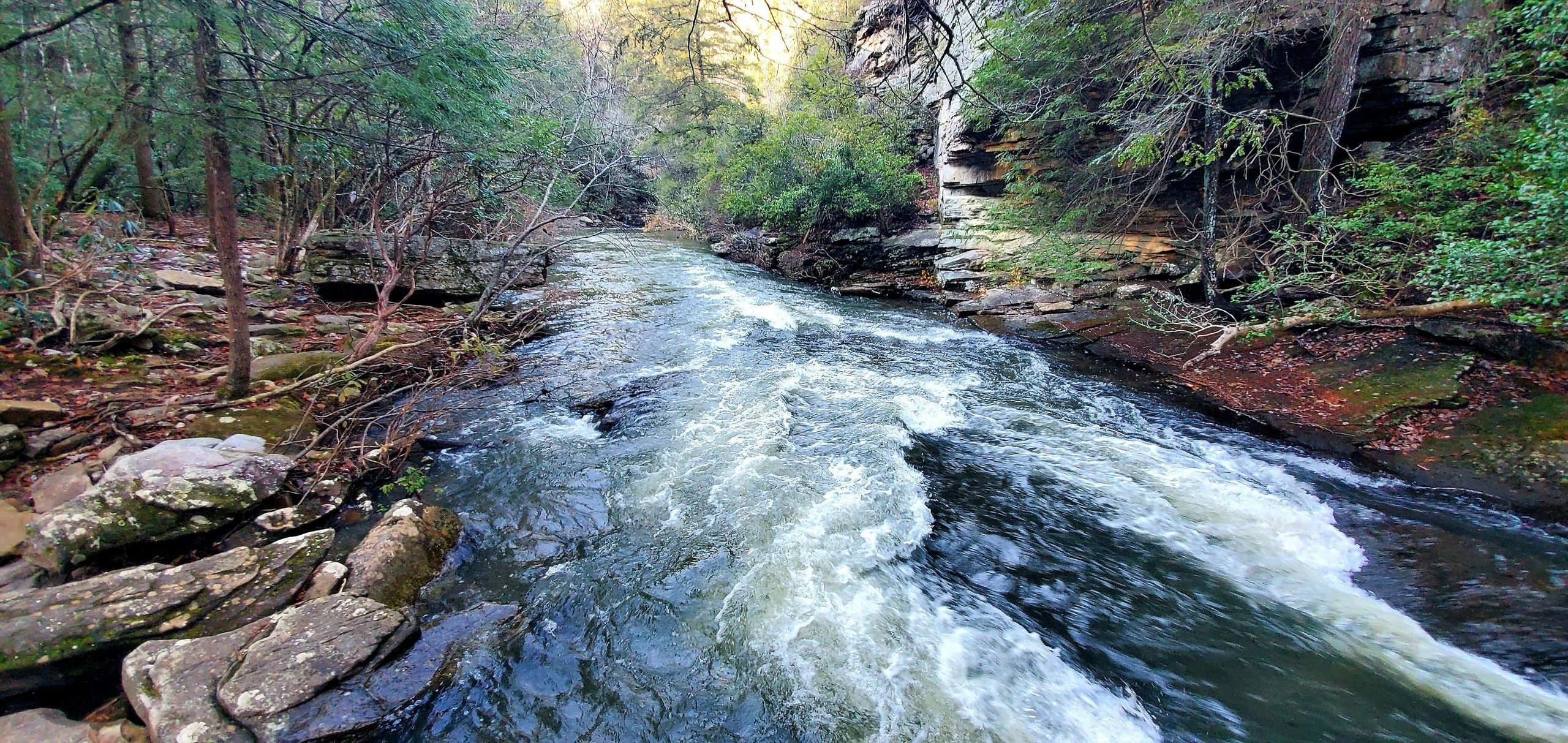 Nashville to Fall Creek All Inclusive Full Day Adventure - Image 4