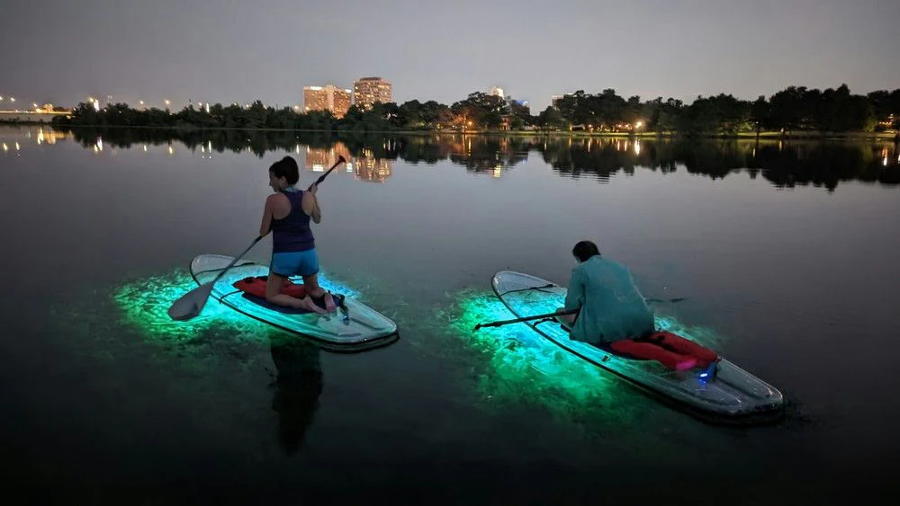 Neon Night Glow Clear Bottom Kayak Tour