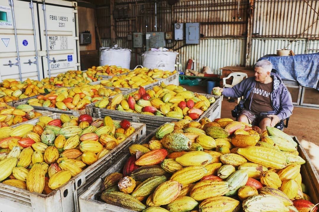 Northshore Food and Waterfall Tour with Rum Tasting - Image 2