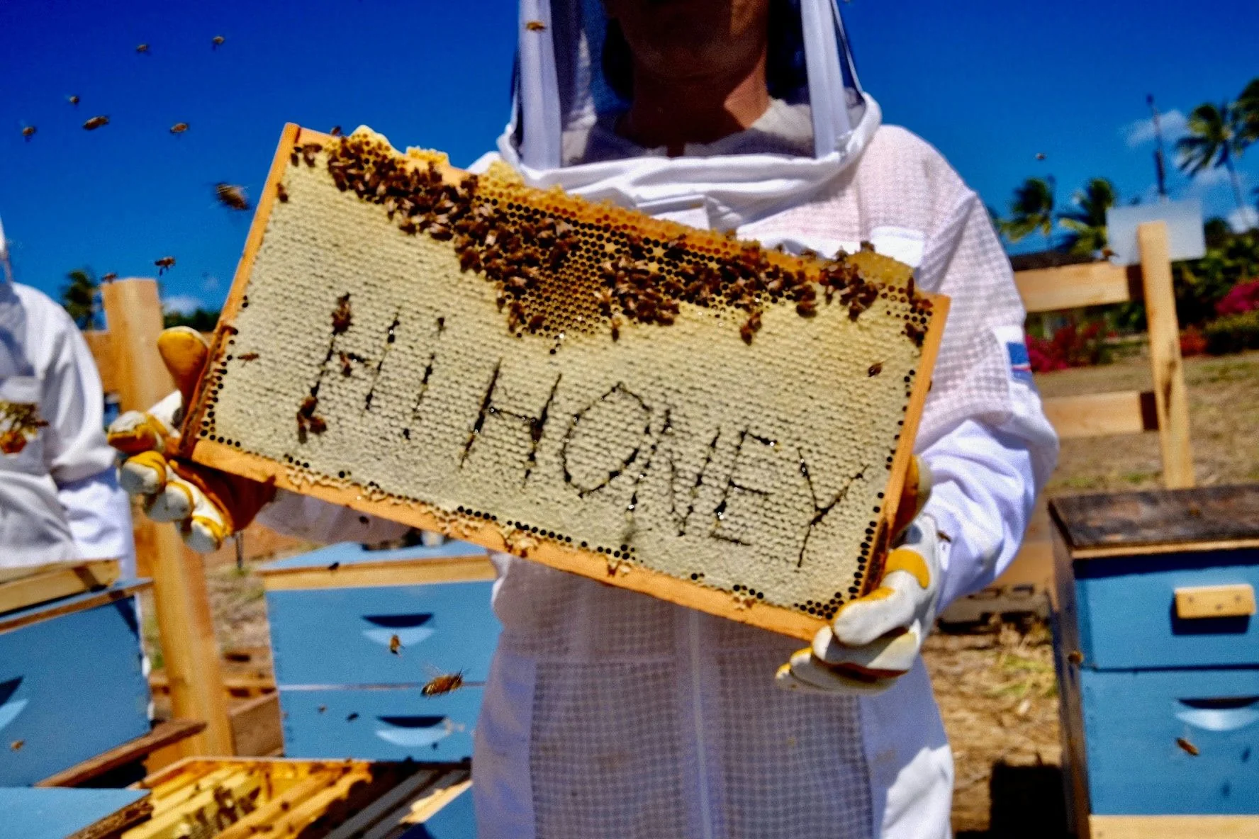 Oahu Bee Farm Tour & Honey Tasting - Image 2