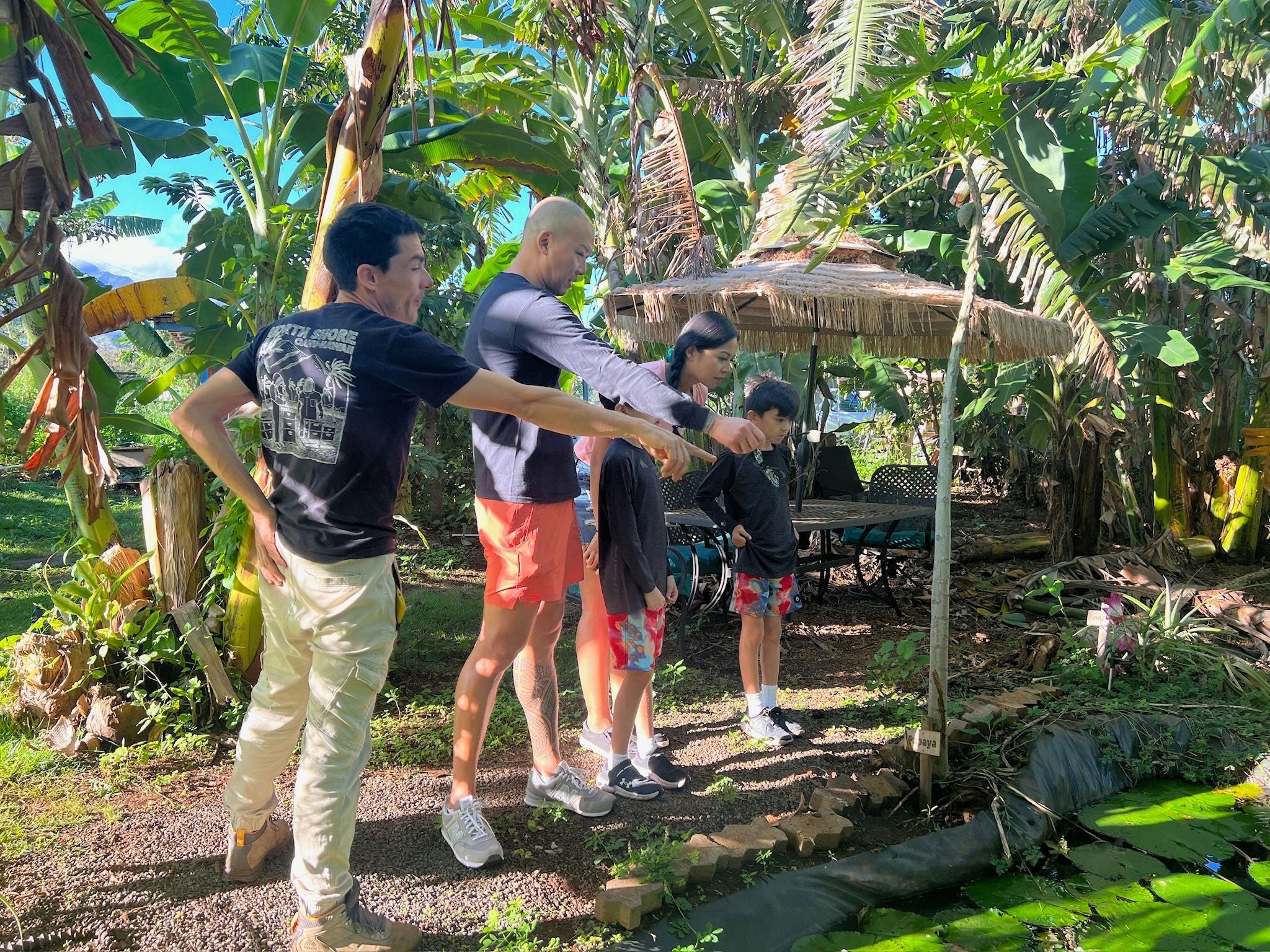 Oahu Bee Farm Tour & Honey Tasting - Image 4