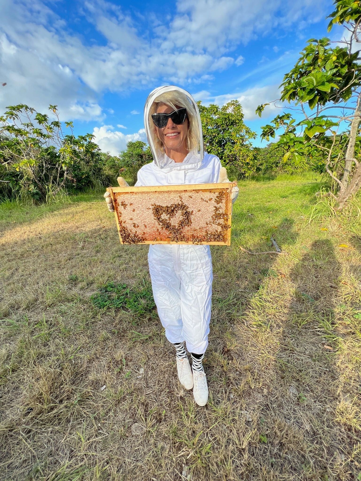 Oahu Bee Farm Tour & Honey Tasting - Image 5