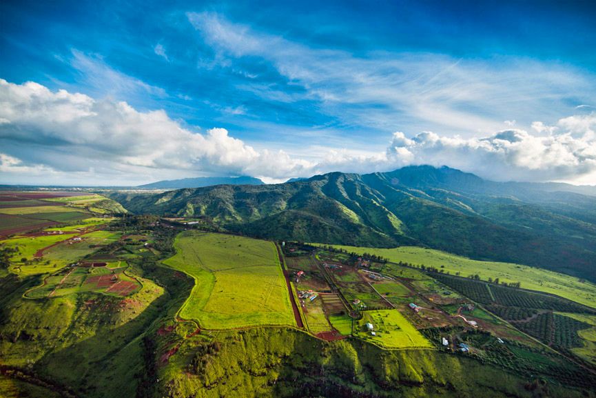 Oahu Proposal Helicopter Flight with Romantic Landing - Image 10