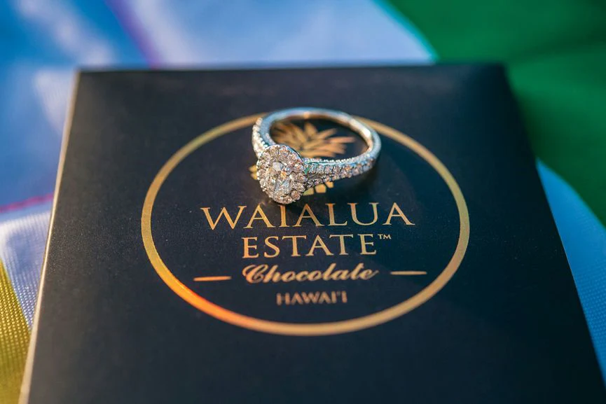 Oahu Proposal Helicopter Flight with Romantic Landing - Image 3