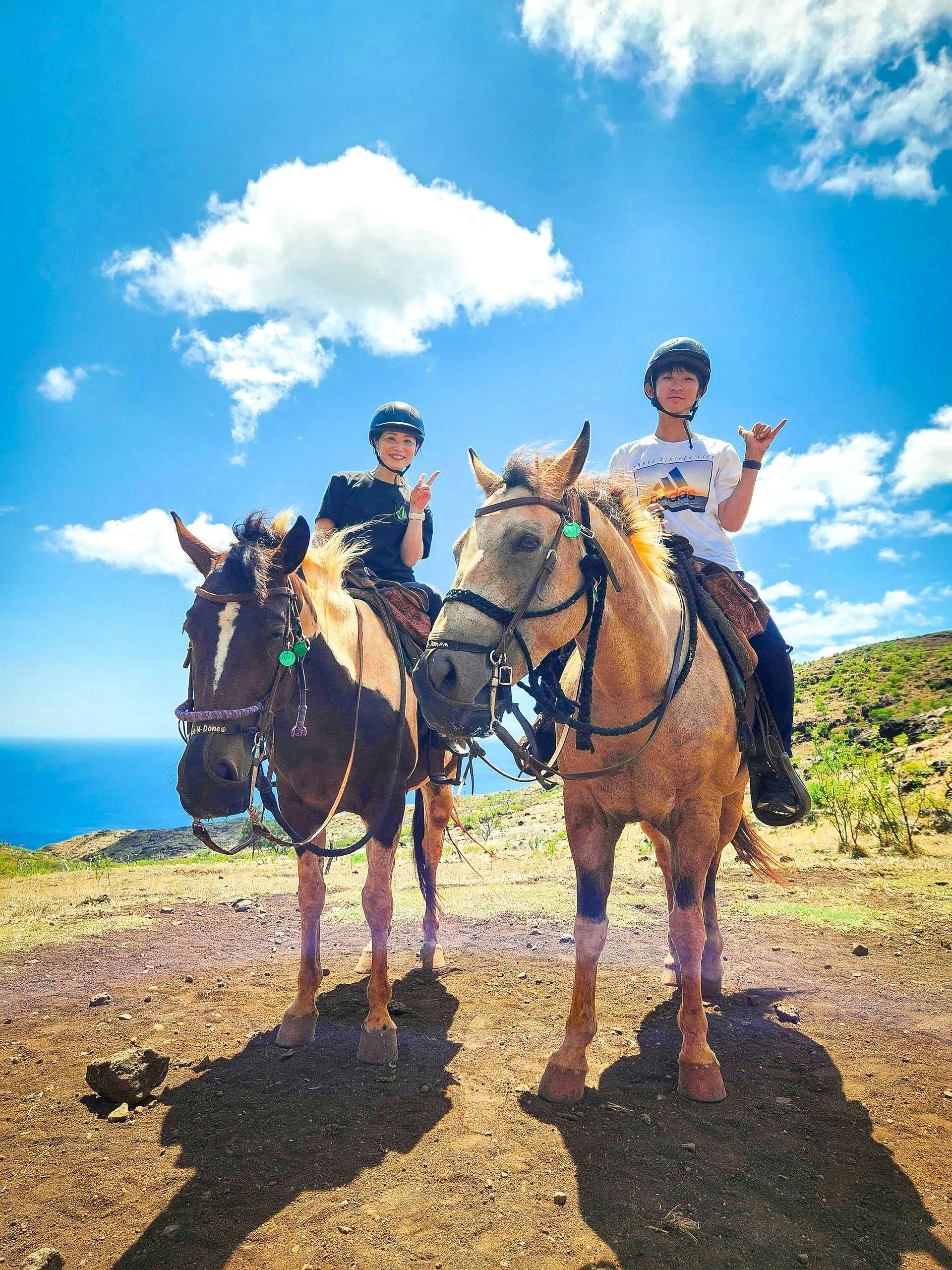 Oahu Sunshine Horseback Riding Tour