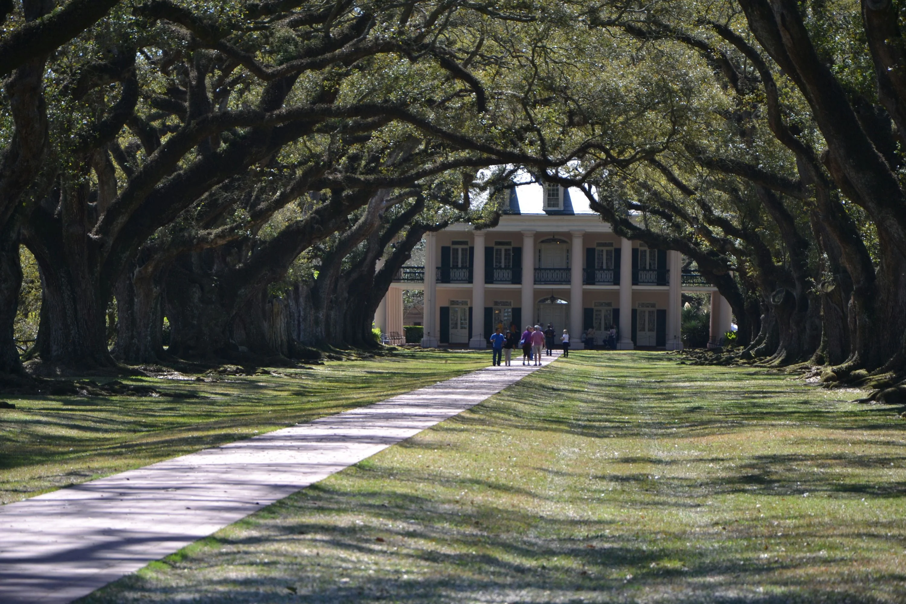Oak Alley Plantation + Small Airboat Swamp Tour - Image 2