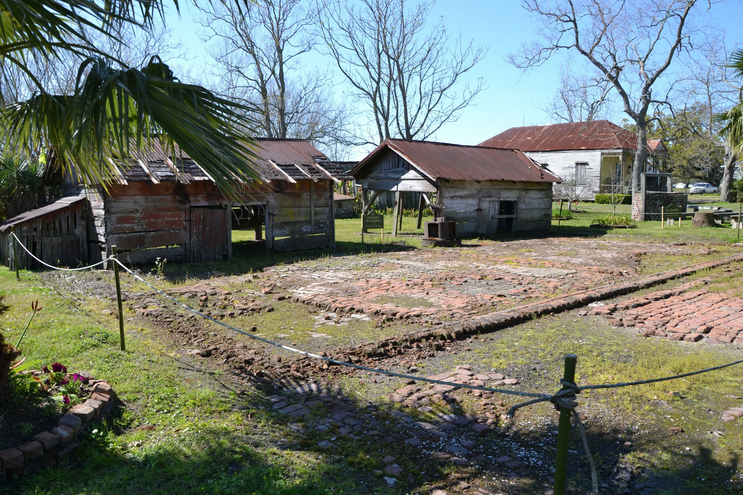 Oak Alley Plantation + Small Airboat Swamp Tour - Image 3