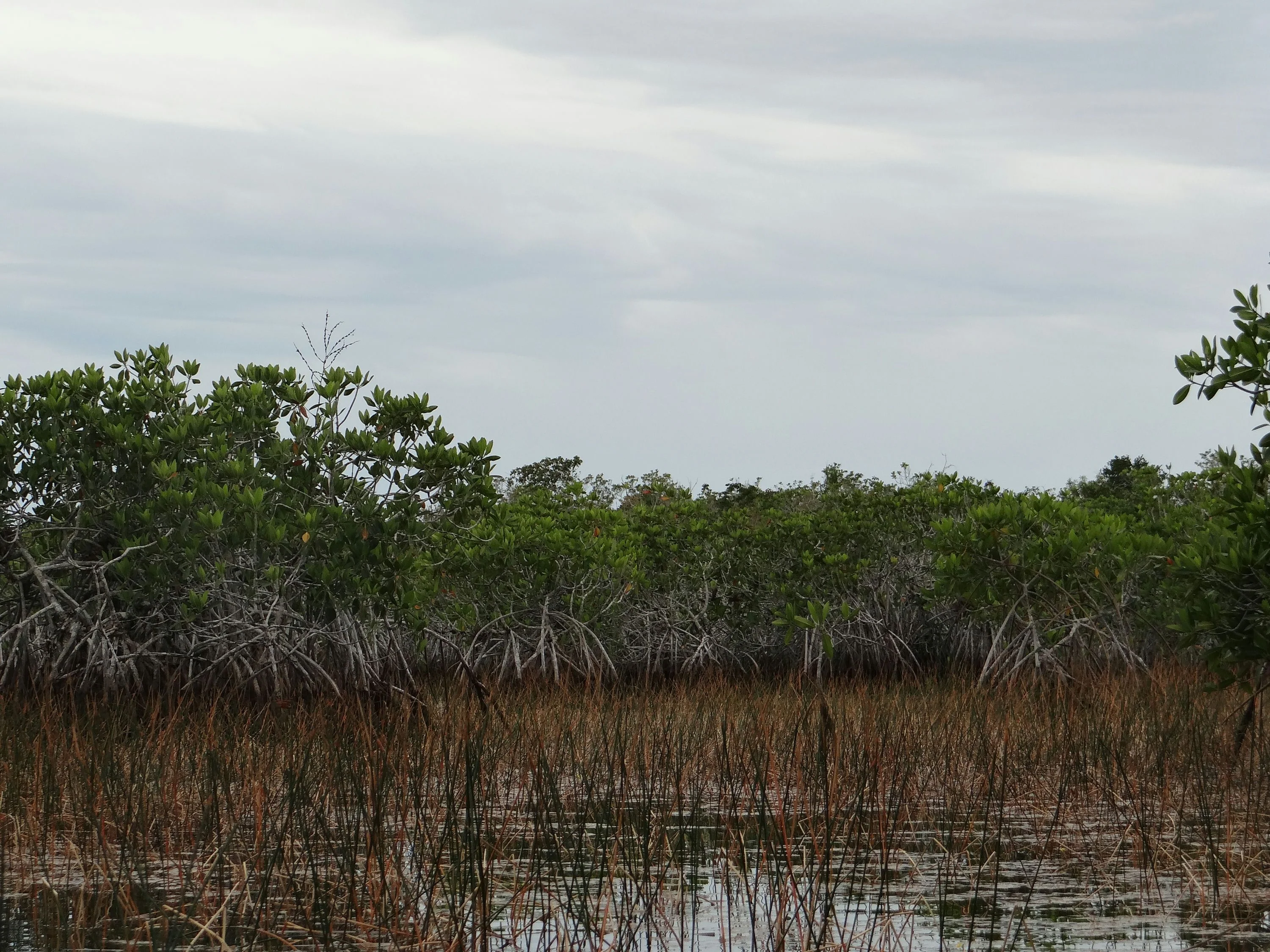 Oak Alley Plantation + Small Airboat Swamp Tour - Image 4
