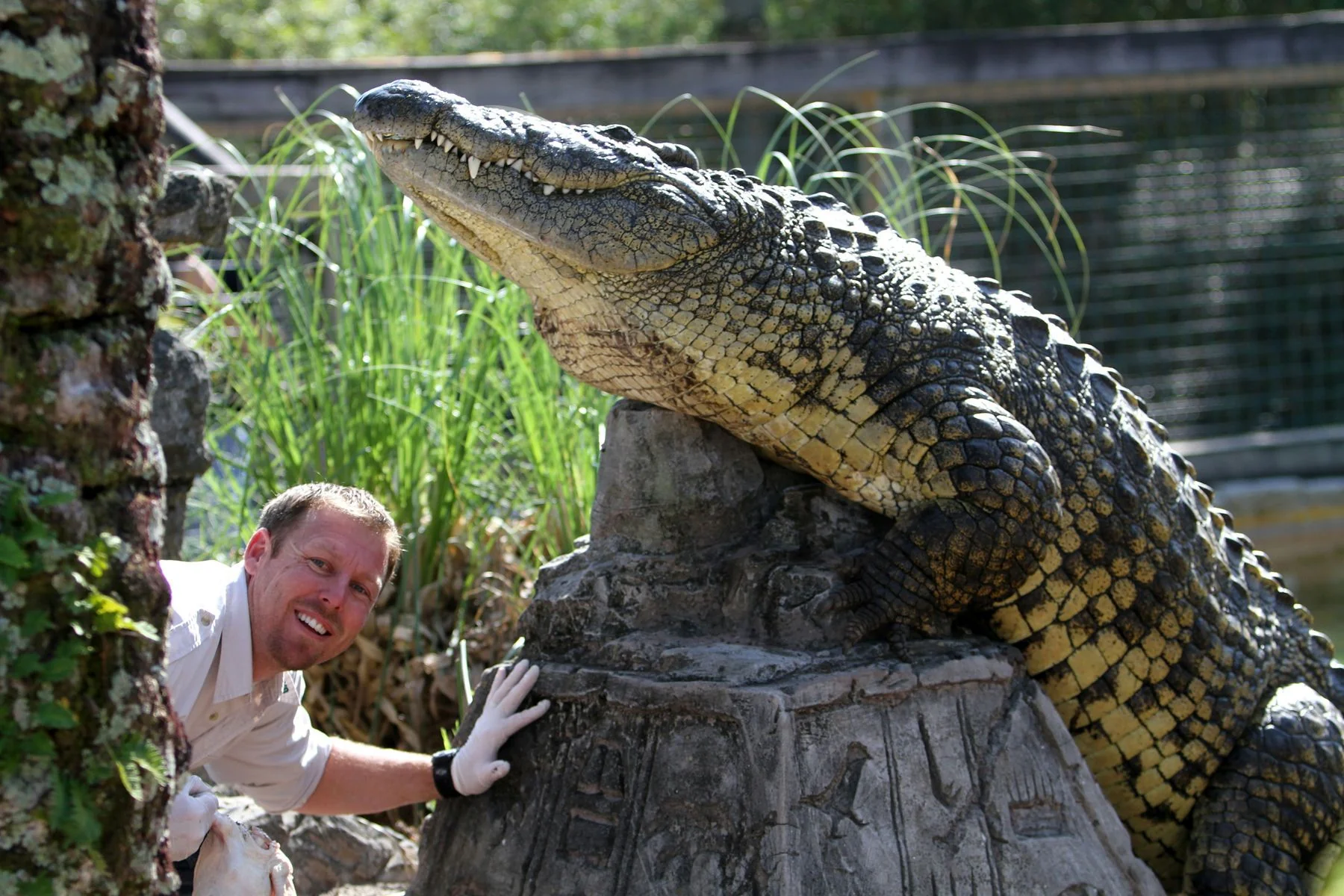 Go City Orlando Explorer Pass - 2 Attractions - Image 2