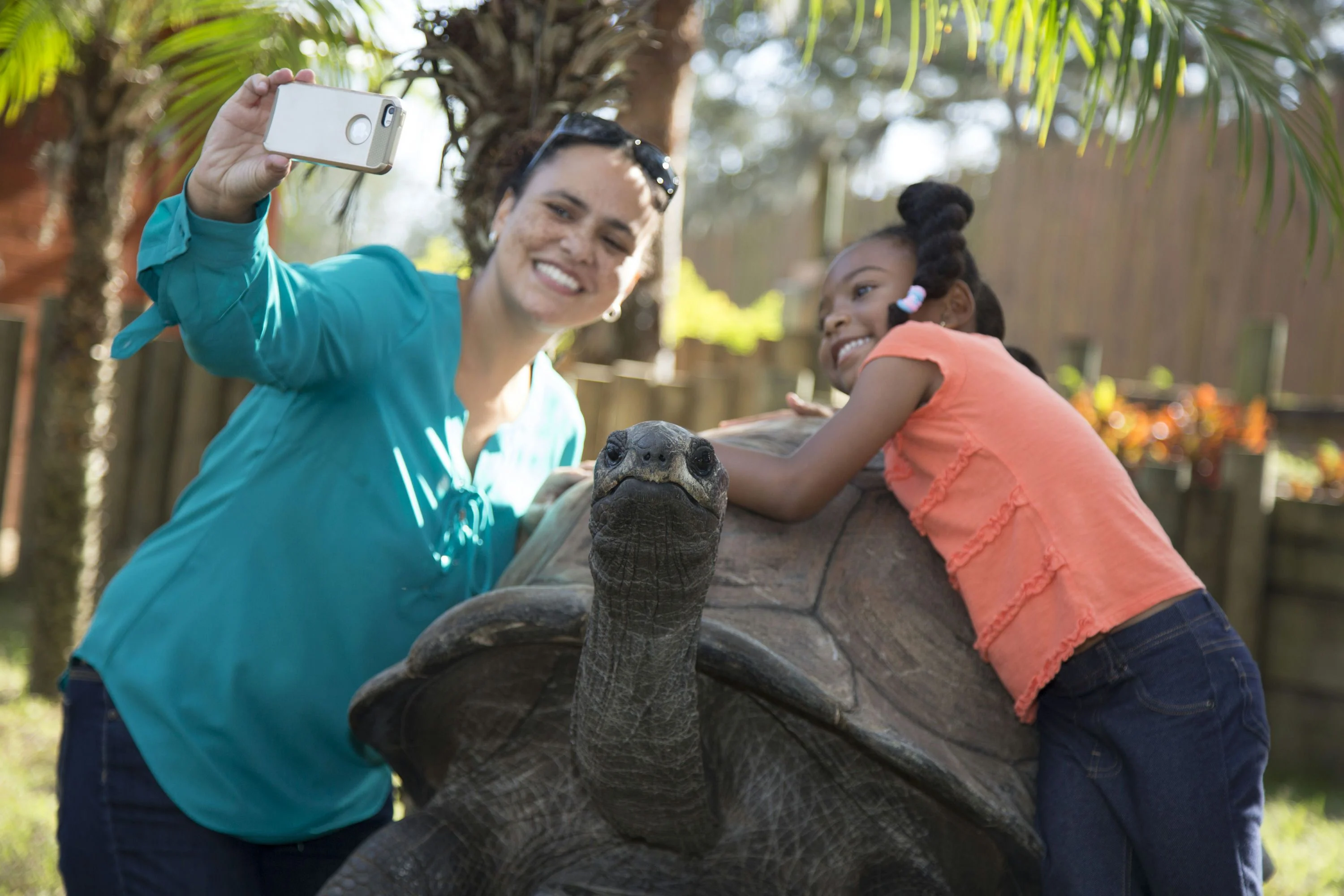 Go City Orlando Explorer Pass - 2 Attractions - Image 6