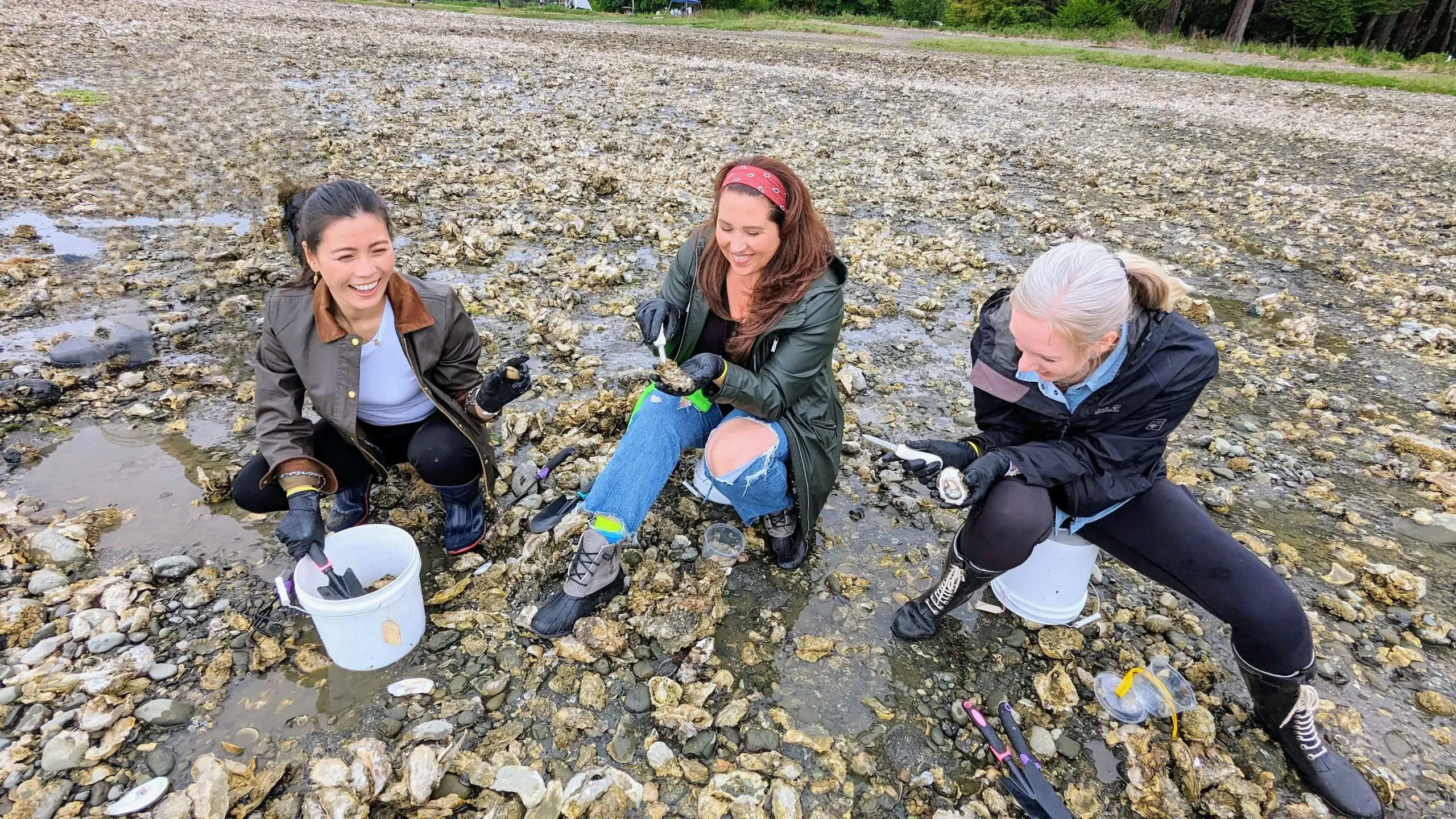 Oyster & Clam ShinDIG