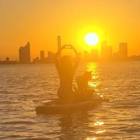 Paws & Paddle Board Rental on Biscayne Bay - Image 3