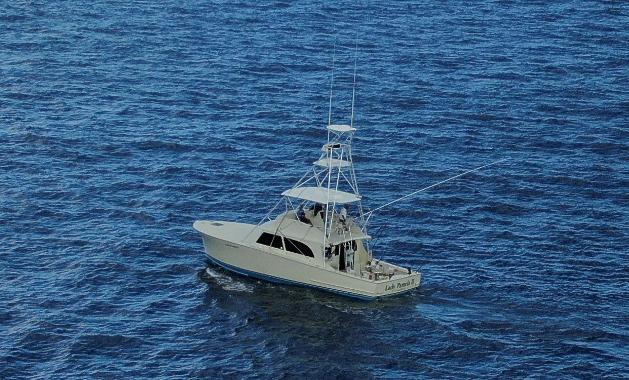 BYOB Private Big Game Sport Fishing - Image 4