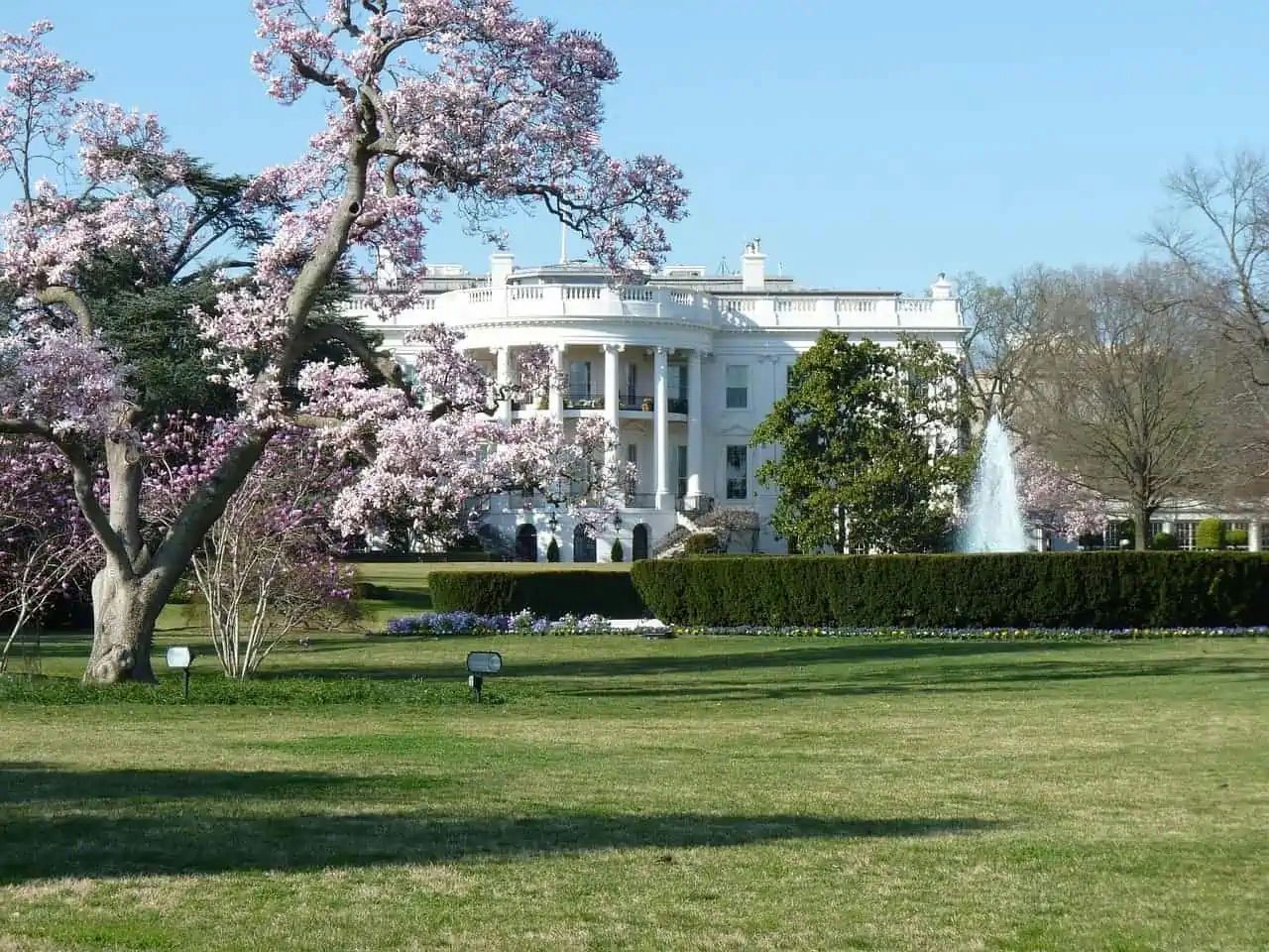 Private Classic Sites of Washington DC Guided SUV Tour - Image 5