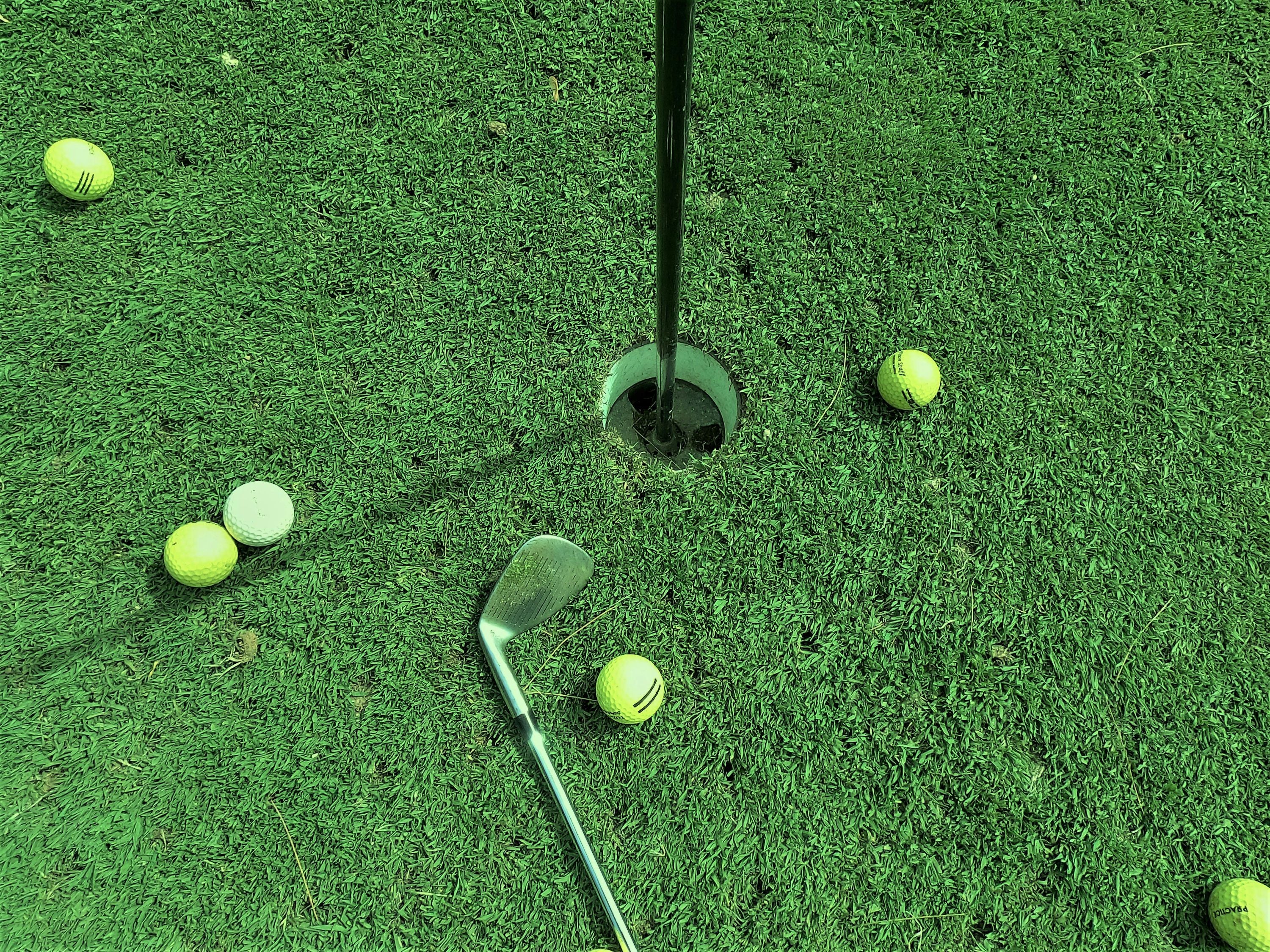 Private Indoor Golf Lesson with a PGA Pro in New Providence - Image 4