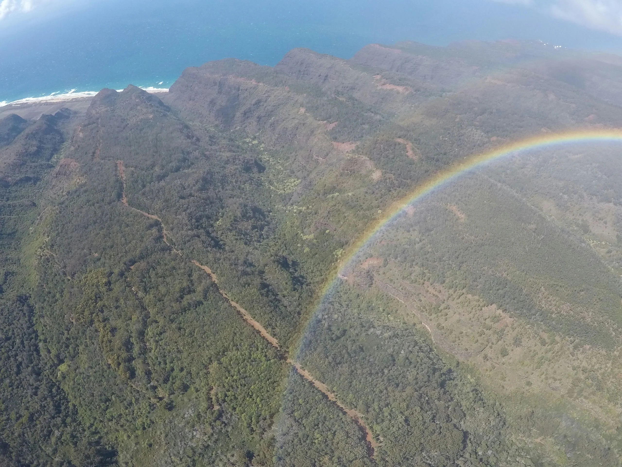 Private Kauai Helicopter Tour - Image 4