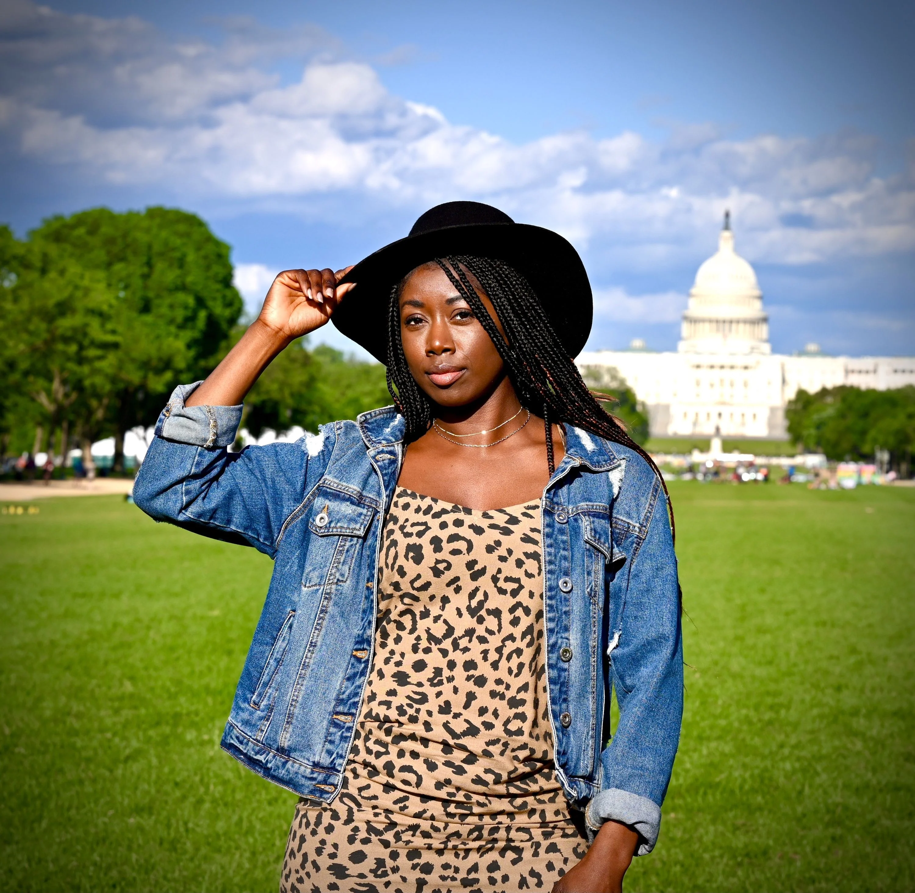 Private National Mall Walking Tour - Image 3