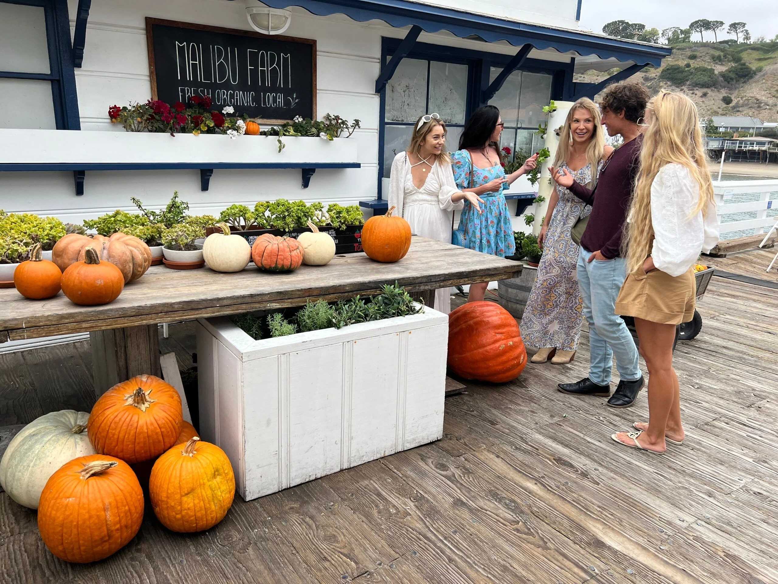 Private Vintage VW Hippie Tour to Malibu with wine tasting - Image 2