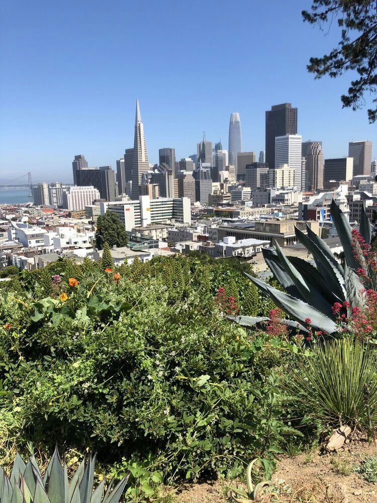 Private Walking Tour of Chinatown, Russian Hill & North Beach - Image 2