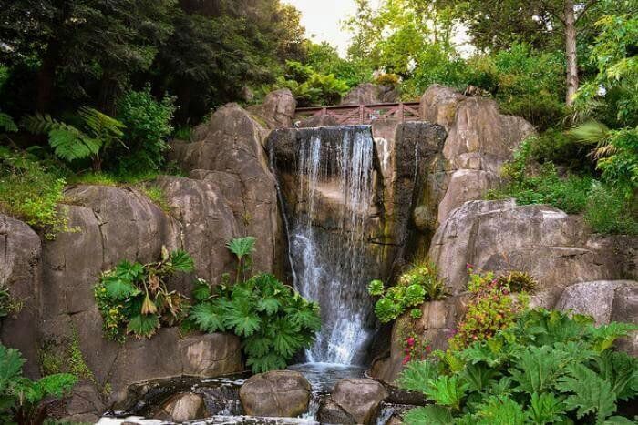 Private Walking Tour of Golden Gate Park - Image 4