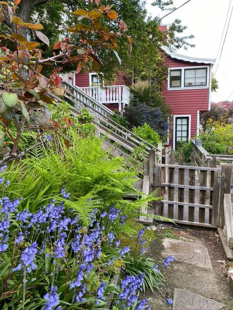 Private Walking Tour of The Old Waterfront & Telegraph Hill - Image 13