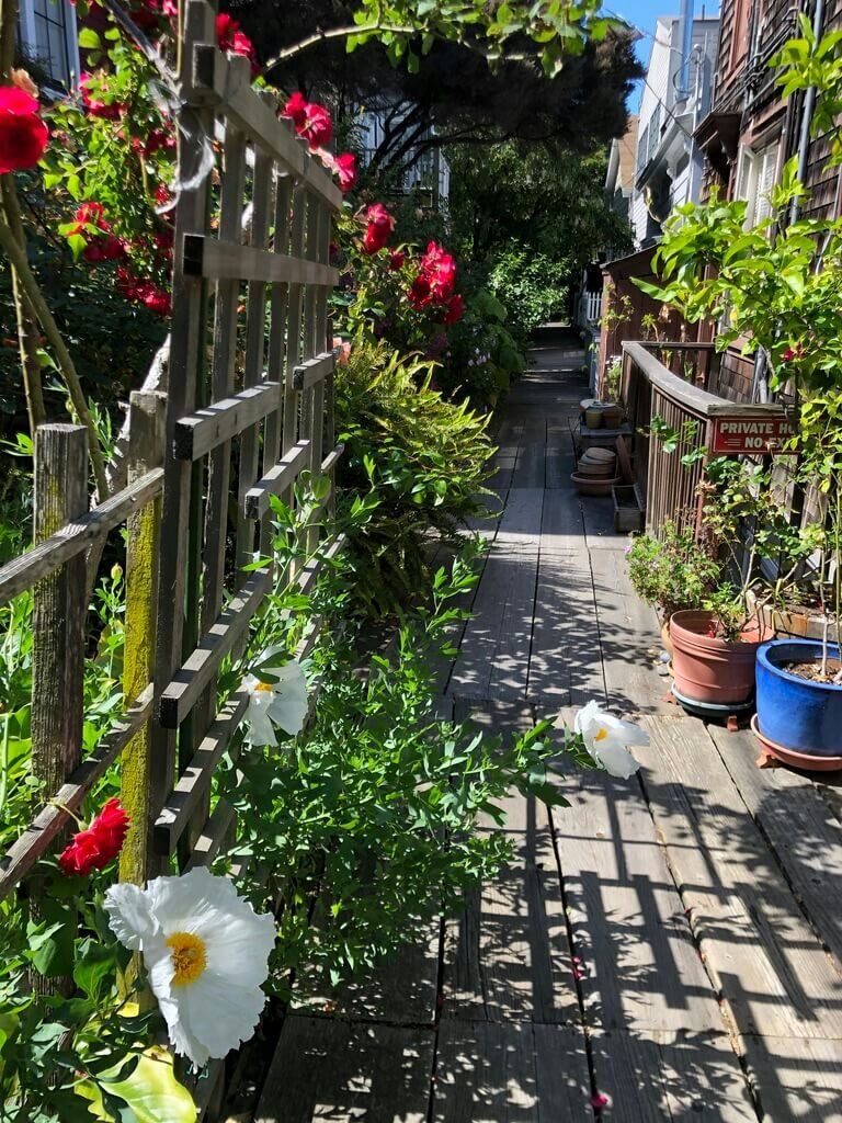 Private Walking Tour of The Old Waterfront & Telegraph Hill - Image 9