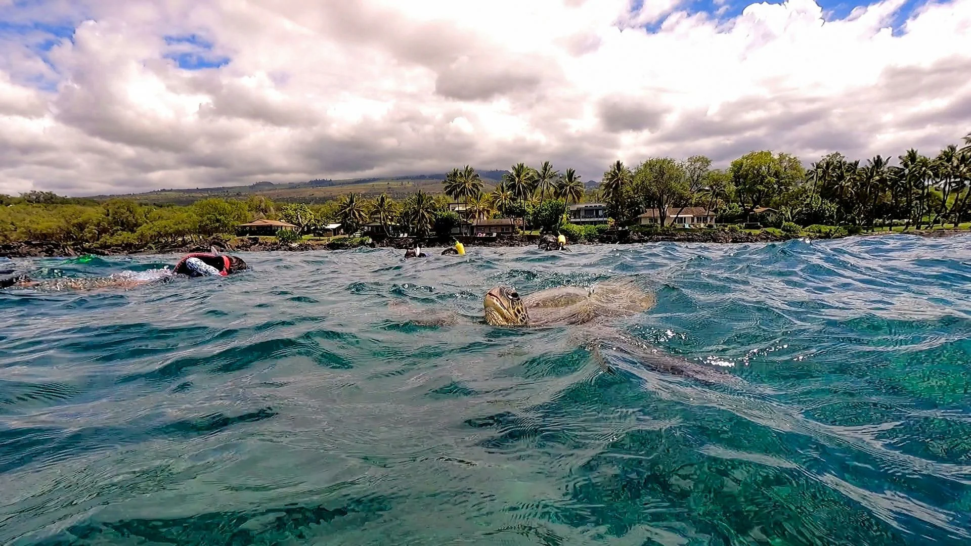 Quality Time in Hawaii for Two - Image 3