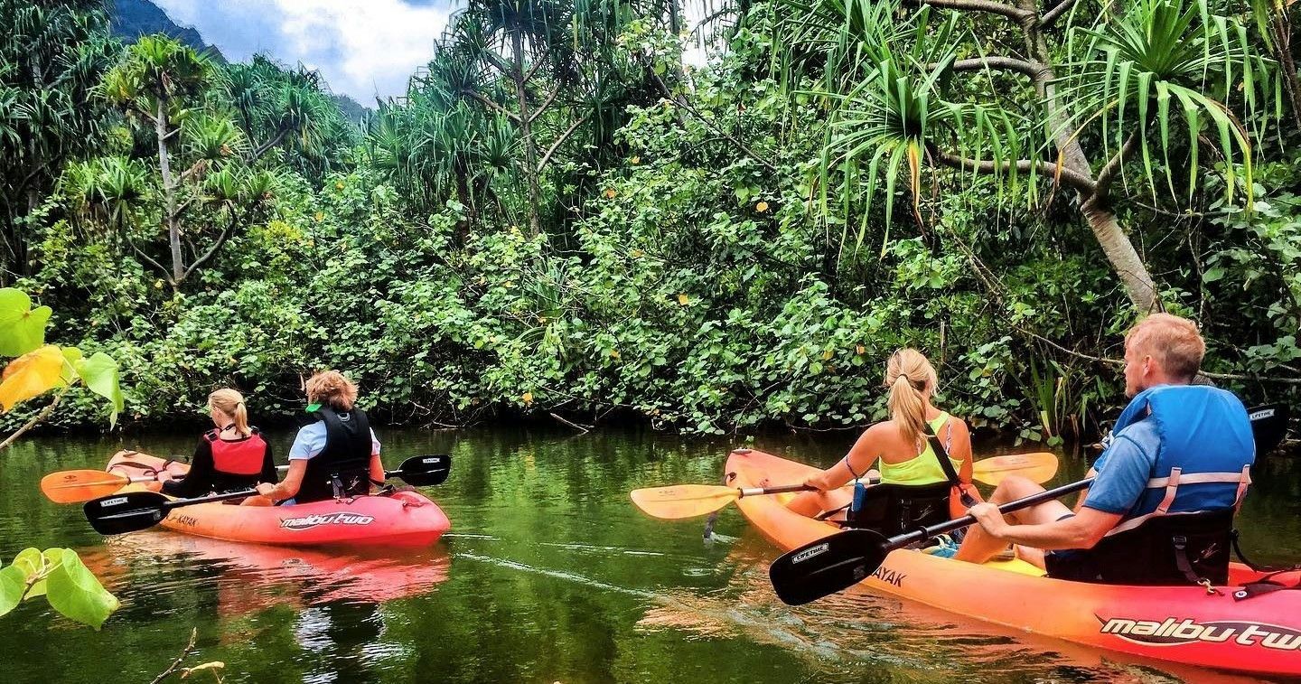 Rainforest Self-Guided Kayak Tour - Image 2