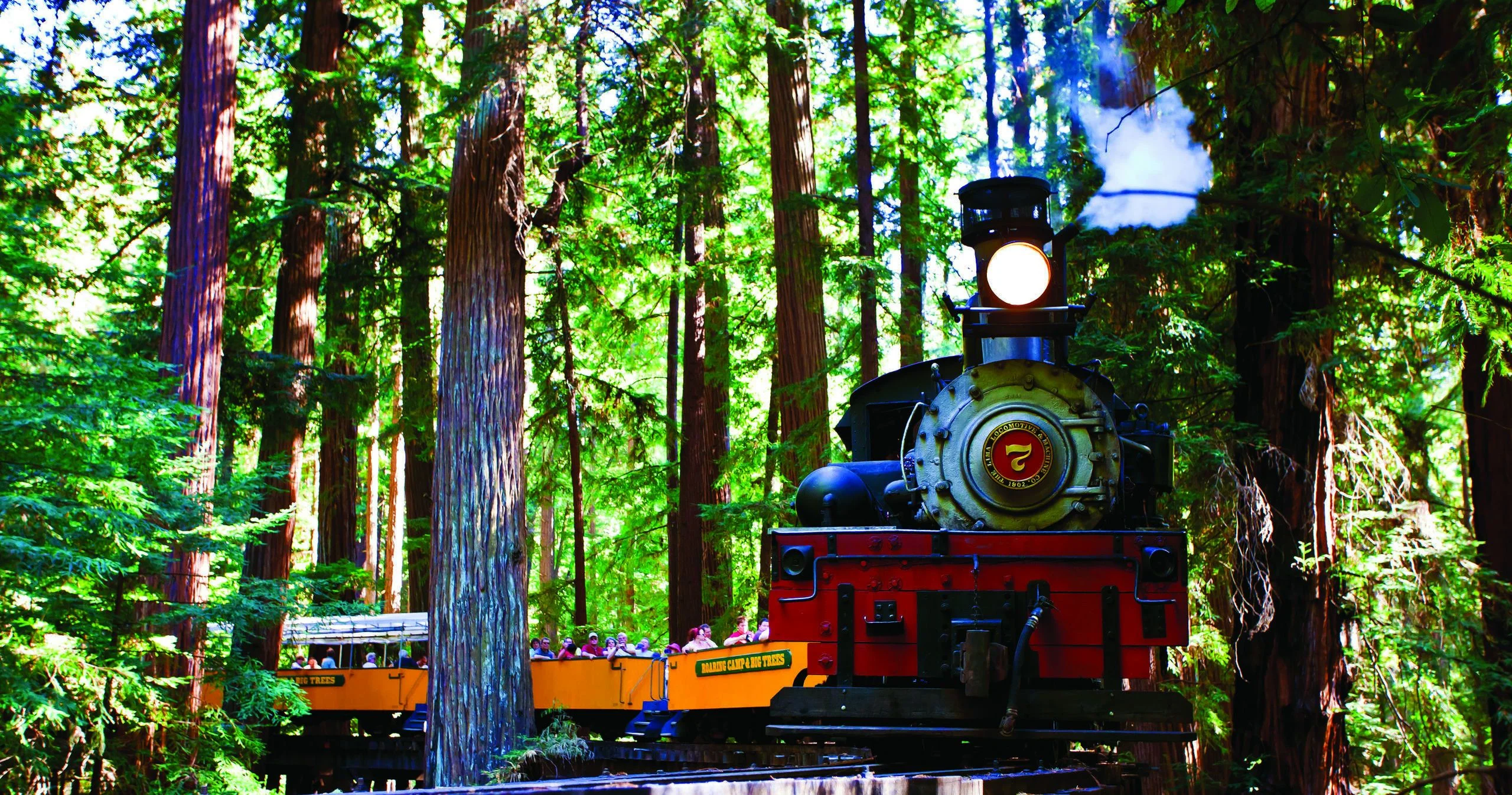 Redwood Forest Steam Train Ride - Image 5