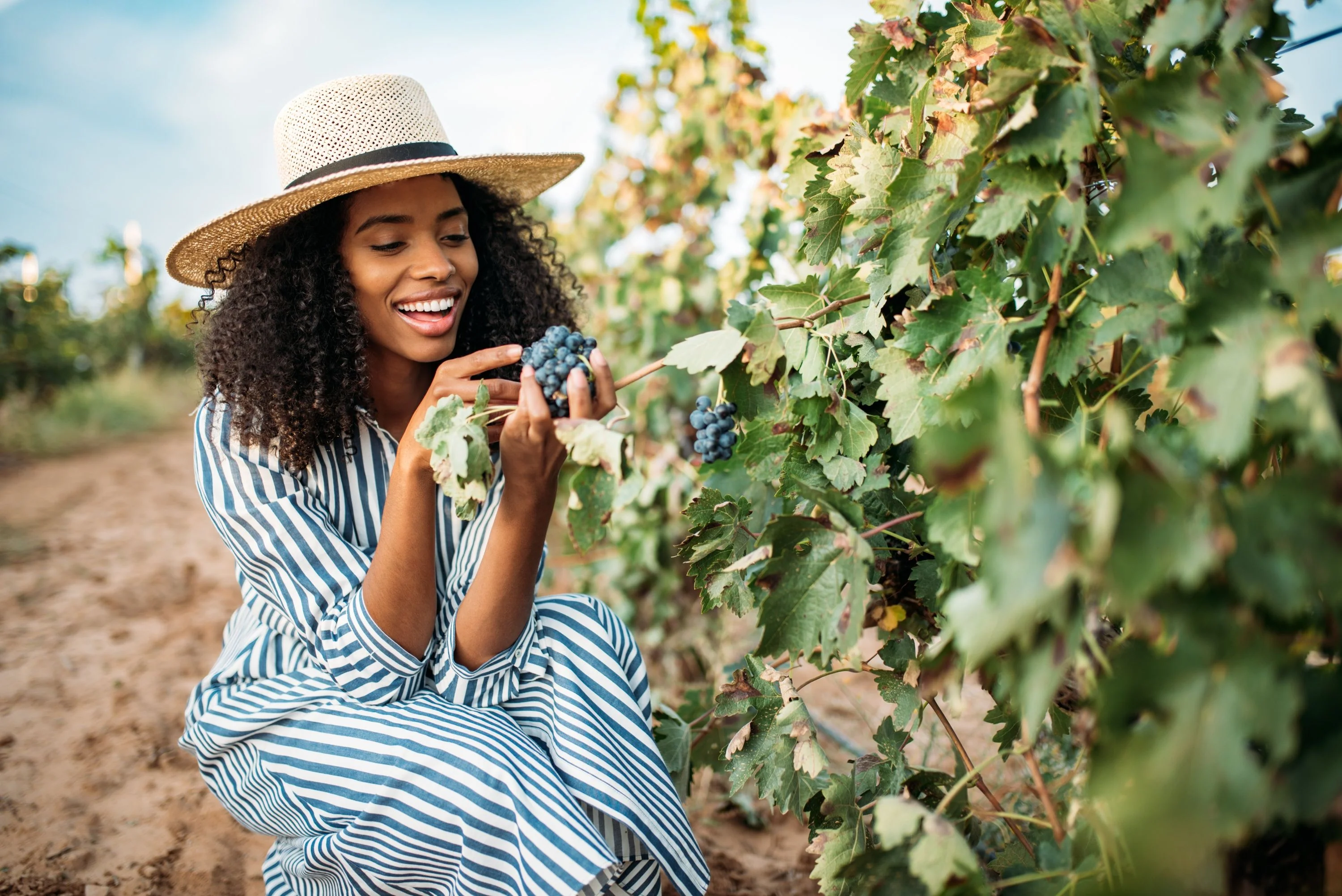 Redwoods & California Wine Country Tour