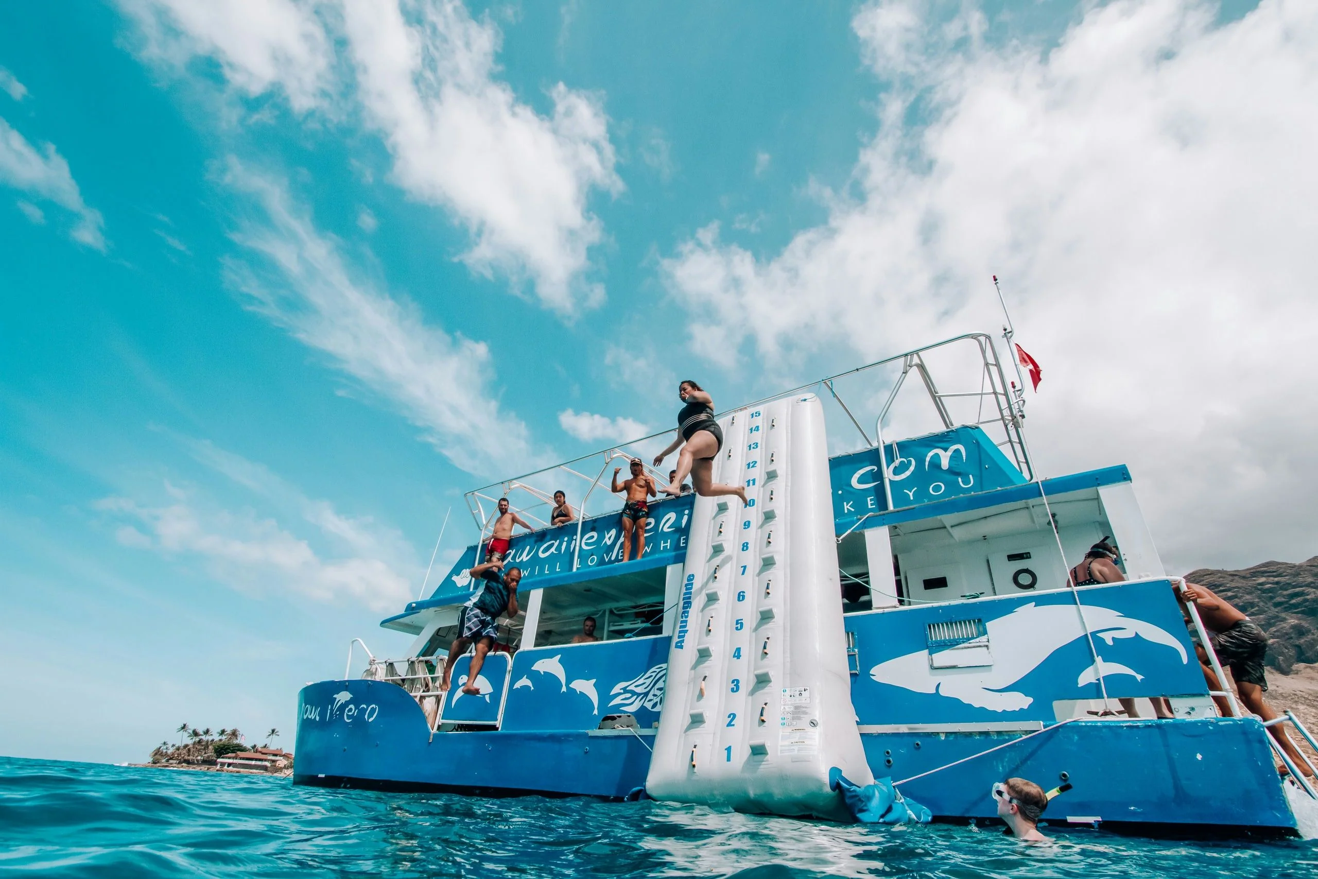 Reef Snorkel & Swim with Dolphins plus BYOB