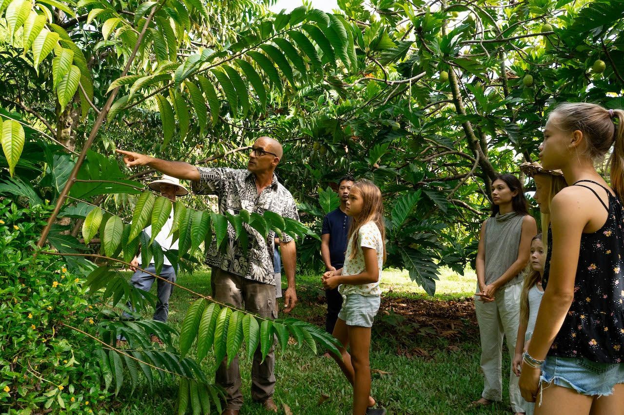 Regenerative Farm and Food Experience - Image 3