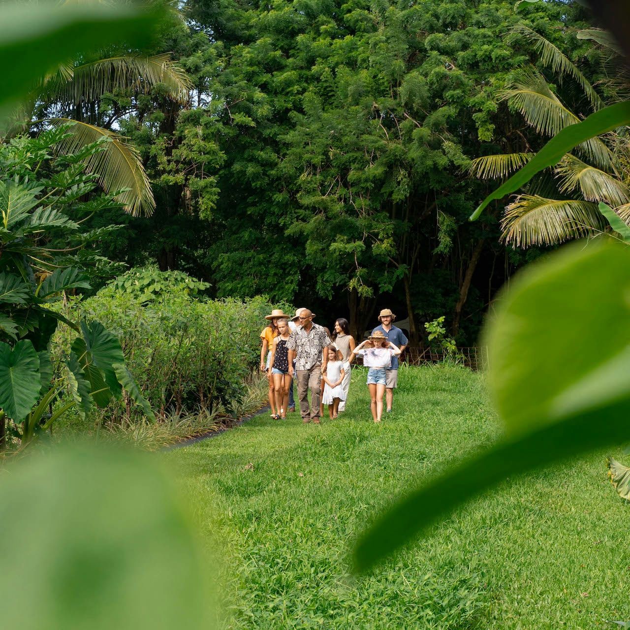 Regenerative Farm and Food Experience - Image 5