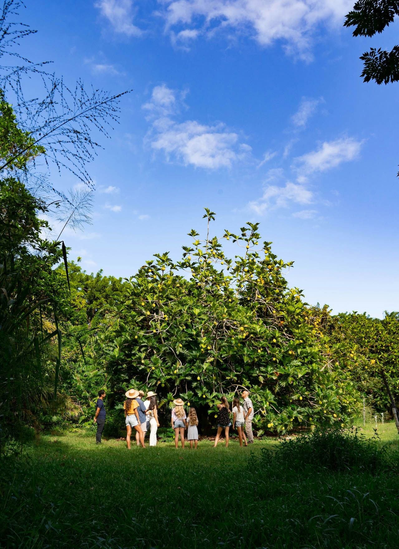 Regenerative Farm and Food Experience - Image 6